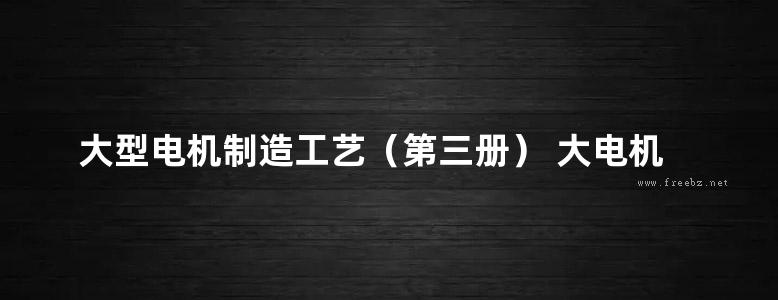 大型电机制造工艺（第三册） 大电机